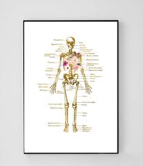 Anatomy Art Set Medical Art Set Massage Therapist Office Etsy Therapist Office Decor Therapist Office Medical Art