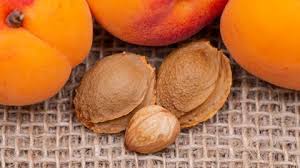 Image result for Apricot 1972 Hussmann