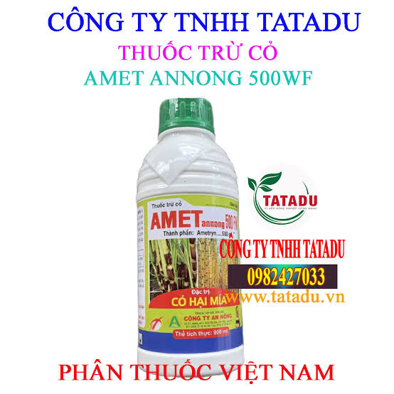 Amet annong 500FW