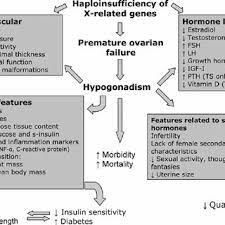 Pdf Turner Syndrome And Clinical Treatment