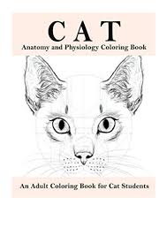 Ghosts and ghouls colouring book: Cat Anatomy And Physiology Coloring Book Pdf Boston Summer An Adult