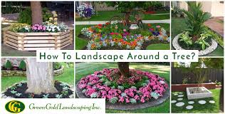 Click on landscape to change your artboard's orientation. How To Landscape Around A Tree Green Gold Landscaping Inc