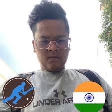 Krishna-mehta Cricket Profile