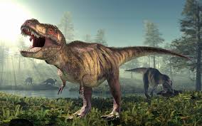 Shop dinosaurio t rex & more. T Rex Como Era Realmente El Rey De Los Dinosaurios Muy Interesante
