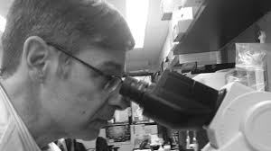 Why this infectious disease expert is studying nosodes