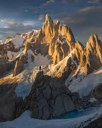 Image result for Memecylon torrei