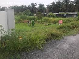 Maybe you would like to learn more about one of these? Iklan Percuma Iklanlah Malaysia Iklan Percuma Malaysia Free Classified Iklaneka Percuma Untuk Warga Malaysia Tanah Tanah Lot Untuk Dijual Urgent Lokasi Ijok Kuala Selangor