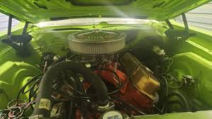 Image result for Meadow Green 1972 Satellite