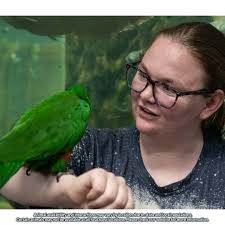 SeaQuest Utah (@seaquestutah) • Instagram photos and videos