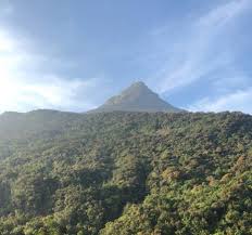 Foto tersebut bukanlah foto jekak kaki nabi adam. Jejak Kaki Nabi Adam Berukuran Raksasa Di Sri Lanka