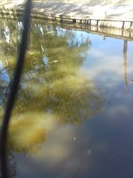 Δηλώνω υπεύθυνα με γνώση των συνεπειών του ν. Bonitsa Lymata Sto Aylaki Sth 8esh Xwra Deite Fwto Syneidhsh