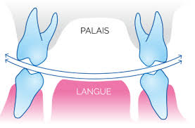 DNT Academy dz - 📌 les courbes de WILSON: (courbe... | Facebook