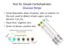 identifying macromolecules indicators in this lab you will