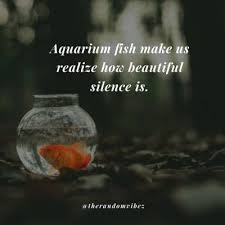 Collection Top 40 Aquarium Quotes And Captions For Your Fish Love Caption For Yourself Some Inspirational Quotes Fresh Air Quotes