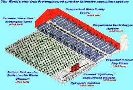 Business For Sale Businesses For Sale Sell Business Free Classified Ads Biz For Sell Aquaponics System Aquaponics Indoor Aquaponics