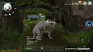 Apk mod for android you can download the latest versions of wolf online 2.apk mod … continue reading . Wolf Online 2 Apk Download 2021 Free 9apps
