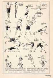 11 Biceps U Forearm Workout 24 X 36 Laminated Chart