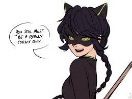 Cj On Twitter Oh Just Redrawn My Tweets Miraculous Ladybug Memes Miraculous Ladybug Funny Miraculous Ladybug Comic