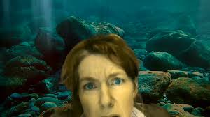 An overlooked legend rises 🎤 Actor. Singer. Activist. Paul Robeson finds  his voice — and refuses to lose it. Featuring iconic songs, speeches, and a  defiant stand before the Un-American Activities Committee,