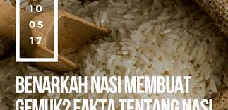 Lauk pauk terdiri dari jenis hewani dan pilihannya beragam, misalnya 2 potong sedang ayam tanpa kulit, atau sebutir telur ayam, atau dua potong daging sapi ukuran. Benarkah Nasi Membuat Gemuk Fakta Tentang Nasi Thefamousfitnessplan Com