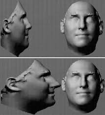 Bayesian models of object perception