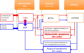 Image result for Atypical Depression