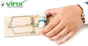 Mice tend to seek food and shelter inside homes during the fall when colder weather begins to set in. How Much Does An Exterminator Cost For Mice Blog Vinx Pest Control