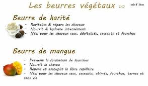 Proprietes Du Beurre De Karite Et Du Beurre De Mangue Beurre De Karite Beurre De Mangue Cosmetiques Faits Maison