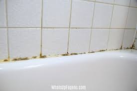 How To Get Rid Of Black Mold In Your Shower Caulking Mold In Bathroom Mold Remover Shower Grout