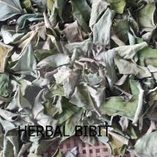 We did not find results for: Jual Daun Talas Kering 35rb Jakarta Pusat Herbal Bibit Tokopedia