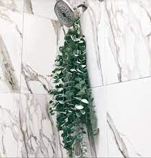 A Bundle Of Fresh Eucalyptus You Place In Your Shower And Help Make Your Everyday Ritual Even More Relaxing The Steam From Your Shower Or Bath Helps The Sooth Shower