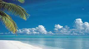 Search hd desktop wallpapers and download them for free. 129 Beach Wallpaper Examples To Put On Your Desktop Background