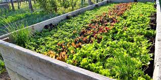 Includes easy to follow tips on how to design and build your own permaculture garden, which is the most sustainable approach to gardening at home. How To Start A Permaculture Garden Beginner S Guide Grocycle