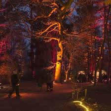 Schon Einmal Von Der Waldweihnacht Gehort Nur Noch Heute In Eberswalde Habt Einen Schonen 3 Advent Instagram Wald Eberswalde