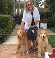 Colton Has Southern California Golden Retriever Rescue Facebook