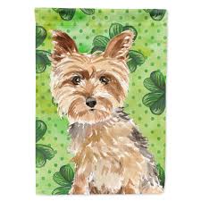 Indiamart >stainless steel utensils & cookware >stainless steel kitchen utensils. Caroline S Treasures 28 In X 40 In Polyester Shamrocks Yorkie Yorkshire Terrier Flag Canvas House Size 2 Sided Heavyweight Ck1780chf The Home Depot