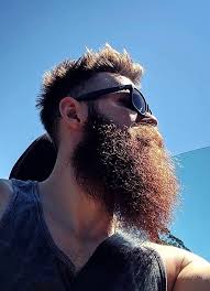 Pin By Minizart On Barte Beard Model Beard And Mustache Styles Beard No Mustache