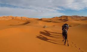 Our bedouin friends set up tents, a fire, and began preparing for dinner. Camel Caravan Sahara Desert Source Nosade Nosade