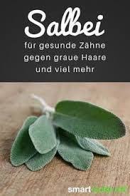 salbei gegen graue haare fur gesunde zahne und viel mehr gesunde zahne gesundheit salbei