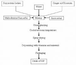Soy Protein Isolate Drink Processing Flow Diagram
