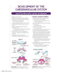 Heart development (also known as cardiogenesis) refers to the prenatal development of the heart. Development Of The Cardiovascular System Video Explanation Osmosis