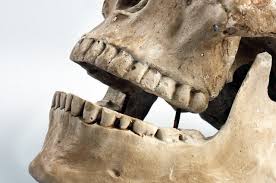 Ensure Optimal Jaw And Facial Development For Your Child