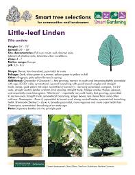 Image result for Littonia lindenii