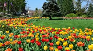 Sometimes life can feel overwhelming and you are not sure where to turn. 4 Places To Stop Smell The May Flowers Bucks Happening