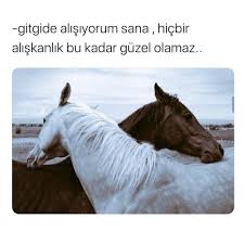 Guzelsozler Sozler Anlamlisozler Degerlisozler 2020 Pozitif Dusunceler Ilham Veren Sozler Guzel Soz