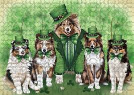 St Patricks Day Irish Family Portrait Shetland Sheepdogs Dog Puzzle With Photo Tin Shetland Sheepdog Shetland Sheepdog Blue Merle Sheepdog