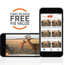 Maybe you would like to learn more about one of these? Buy Cellucore 30 No Glow Cellular Trail Camera And More Bushnell