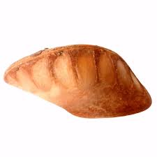 Image result for Isoberlinia