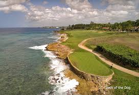 Casas de madera modernas con techo plano. Casa De Campo Resort Villas Top 100 Golf Resorts