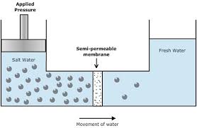 Palladium membrane hydrogen purifiers operate via pressure driven diffusion across palladium membranes. Plant Water Relations Springerlink